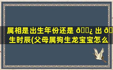 属相是出生年份还是 🌿 出 💮 生时辰(父母属狗生龙宝宝怎么化解)